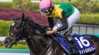 【天皇賞(春)】ワンツーとなれば29年ぶり!? “菊花賞馬対決”の行方は