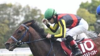 シュネルマイスターが新装京都で復活V 種牡馬としての魅力も高い血統背景とは