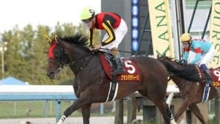 【浦和・しらさぎ賞枠順】GI馬ステルヴィオの半妹グランパラディーゾは6枠7番