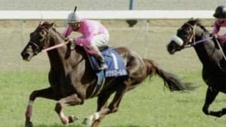 天皇賞・春でナリタブライアンと伝説の名勝負　「ウマ娘」で描かれるサクラローレルはどれほどの名馬だったのか