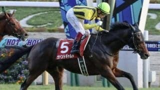 ヴァンドギャルドがブラジルで種牡馬入り ディープ産駒でソールオリエンスの半兄