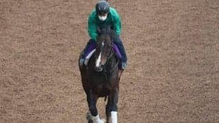 ピクシーナイトなど、先週の入厩情報/栗東トレセンニュース