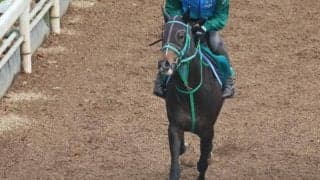 サフィラなど、先週のゲート試験/栗東トレセンニュース