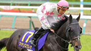 複勝率38％と流石の成績 長距離得意の大ベテランがマテンロウレオを勝利に導く