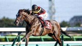【香港チャンピオンズデー】ジェラルディーナは状態良好 日本馬4頭の近況
