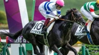 “セレクト1億円馬”がキャリア1戦での青葉賞Vへ 快勝のデビュー戦以来6カ月半ぶり実戦