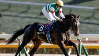 【青葉賞予想オッズ】スキルヴィングが予想1番人気