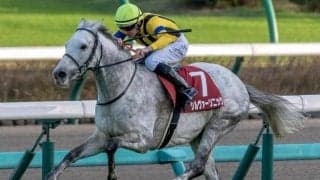 長距離得意のオルフェーヴル産駒 天皇賞(春)にシルヴァーソニックなど大挙4頭登場