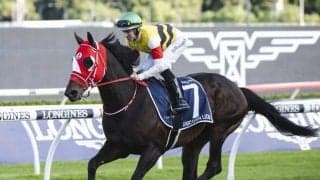 豪州遠征のユニコーンライオンとホウオウアマゾンが帰国