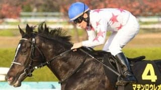 【天皇賞・春展望】3年ぶりの京都開催、マテンロウレオと横山典弘騎手のコンビに期待したい