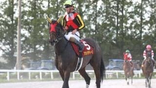 【浦和・しらさぎ賞注目馬】GI馬ステルヴィオの妹グランパラディーゾが2つ目のタイトルつかむか