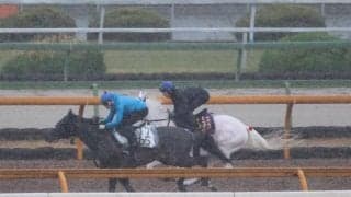 ソダシ、ヴィクトリアM2週前追い切り速報/栗東トレセンニュース