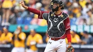 侍ジャパンがモデル…台湾が描く強化計画　WBC1次R敗退で危機感、1シーズン制実施へ