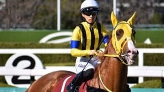 【天皇賞(春)予想】ロベルト系26年ぶり4勝目なるか