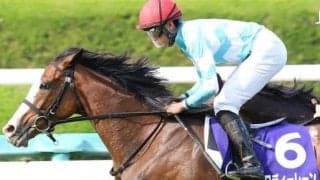 【天皇賞(春)】メロディーレーンが4年連続の参戦 GIは8回目のチャレンジ