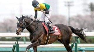 【天皇賞(春)予想】AIが指名したのは実績上位馬 過去のレース傾向からも不安要素なし