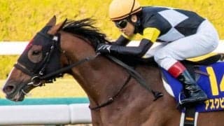 天皇賞(春)で社台ファーム生産馬が19年ぶり制覇目指す 今年は4頭の強力布陣