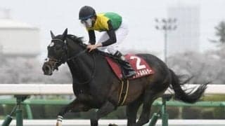 天皇賞・春の本命タイトルホルダーの血統的信頼度は？　もう１頭の注目は長距離適性が高いディープインパクト産駒