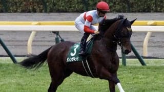 【香港チャンピオンズデー】日本馬近況…ジェラルディーナは順調に調整