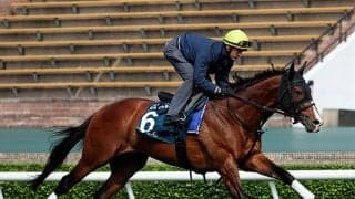 Z.パートン騎手「プログノーシスは力を発揮してくれる」 クイーンエリザベスII世Cへ意気込み