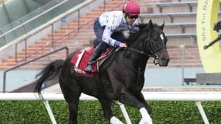 【チェアマンズスプリントプライズ 枠順確定】アグリは8番ゲート、ラッキースワイネスは6番ゲート