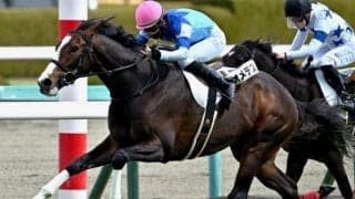 ディープインパクトの血が狙いの青葉賞 今年は“母の父”を持つ伏兵に要注意だ