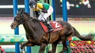 【天皇賞(春)・調教後馬体重】タイトルホルダーは482kg、ジャスティンパレスは476kg