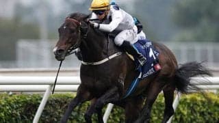 【チャンピオンズマイル 枠順確定】ゴールデンシックスティは7番ゲート