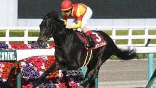 【天皇賞(春)予想】複勝率60％！ 長距離戦で圧倒的成績残す騎手とは