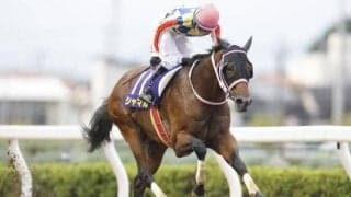 【船橋・かしわ記念出走予定馬】シャマル、メイショウハリオら