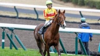【園田・兵庫CS出走予定馬】JRAミトノオー、地元ベラジオソノダラブら