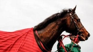 【名古屋・かきつばた記念出走予定馬】ドライスタウト、テイエムサウスダンら