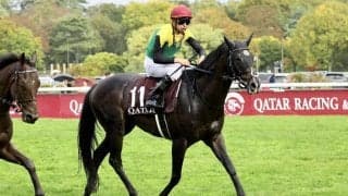 【天皇賞・春】出走馬の調教後の馬体重