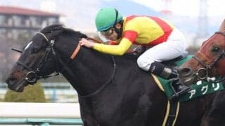 【チェアマンズスプリント】アグリは8番ゲートから