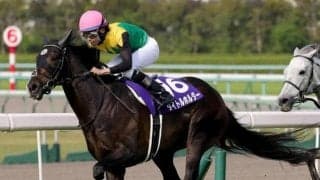 タイトルホルダーに黄信号か？ 京都の天皇賞(春)はSS系が圧倒