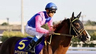 【かしわ記念】メイショウハリオなどJRAから６頭が出走