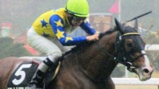 青葉賞は大寒桜賞覇者が好成績 今年はテイエムオーシャンの仔が重賞制覇を狙う