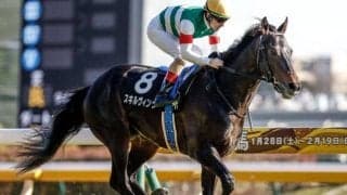 【青葉賞枠順確定】スキルヴィングは6枠11番、グランヴィノスは4枠6番