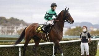 【青葉賞予想】重賞競走は格が違う!? オープンクラスにも存在する鬼門レースとは