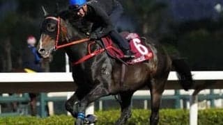 馬券発売の香港チャンピオンズデーは安田記念にも参戦する強すぎ香港馬、穴馬で元イングランド代表のオーウェン所有馬なども注目