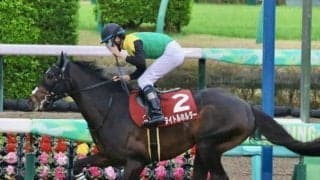 【天皇賞(春)・馬体重】タイトルホルダーは474kg(-4)、ジャスティンパレスは472kg(増減なし)