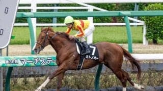 【園田・兵庫CS枠順確定】ミトノオーは5枠6番、ベラジオソノダラブは6枠7番