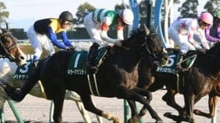 【新潟大賞典】キラーアビリティ、スパイダーゴールドらが登録