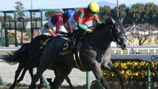 【京都新聞杯】マイネルラウレア、サトノグランツらが登録