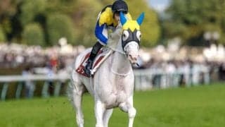 【ヴィクトリアM】ソダシ、スターズオンアースらが登録