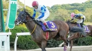 【佐賀皐月賞結果】ネオシエルが押し切って重賞2勝目