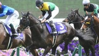 タイトルホルダーは右前肢跛行の診断 トーセンカンビーナは左前浅屈腱不全断裂/4月30日の出来事一覧