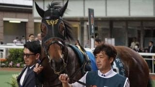 【クイーンエリザベス2世C】安田隆師「また香港で出直したい」ダノンザキッドは5着敗退