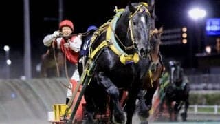 【ばんえい十勝オッズパーク杯】インビクタが逃げ切りで重賞2勝目…島津「雨も味方してくれた」