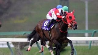 【盛岡・ダイヤモンドC】ミニアチュールが破竹の5連勝…岩手クラシック初戦